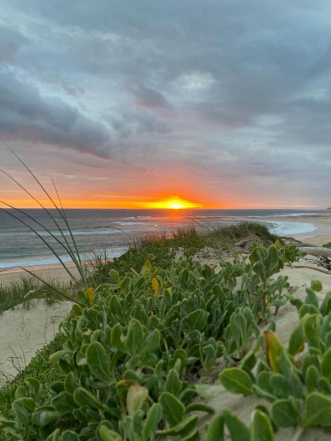 Soutelande Country Stay - Close To 1#Beach In Pe بورت اليزابيث المظهر الخارجي الصورة