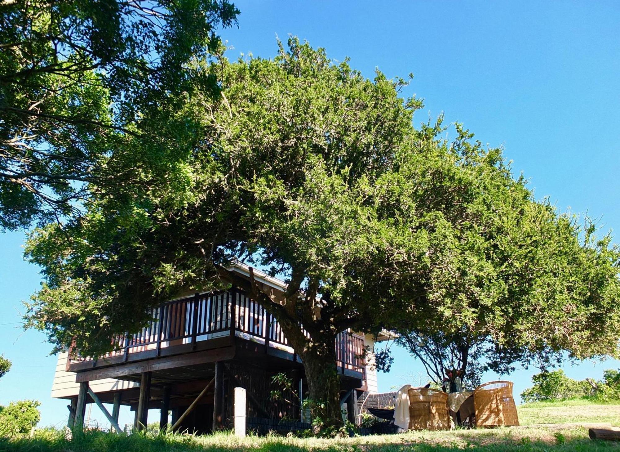 Soutelande Country Stay - Close To 1#Beach In Pe بورت اليزابيث المظهر الخارجي الصورة