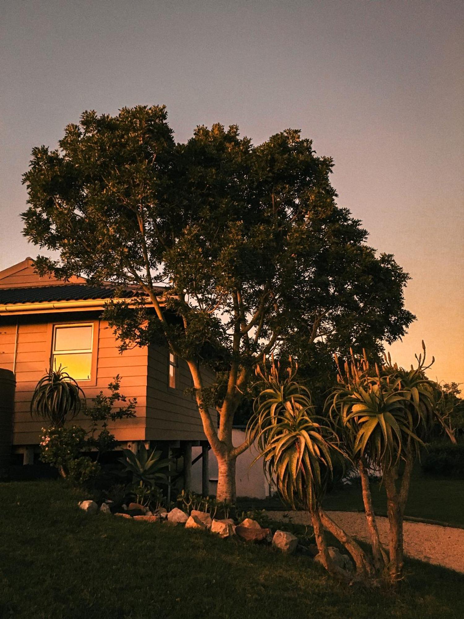 Soutelande Country Stay - Close To 1#Beach In Pe بورت اليزابيث المظهر الخارجي الصورة
